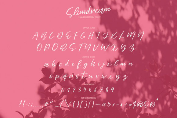Slimdream Font Poster 10