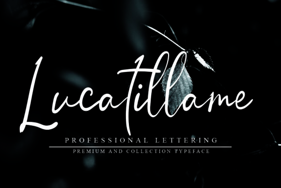 Smart Signature Font Poster 2