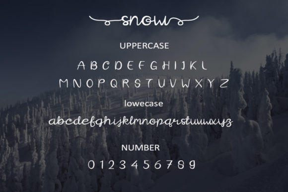 Snow Font Poster 2