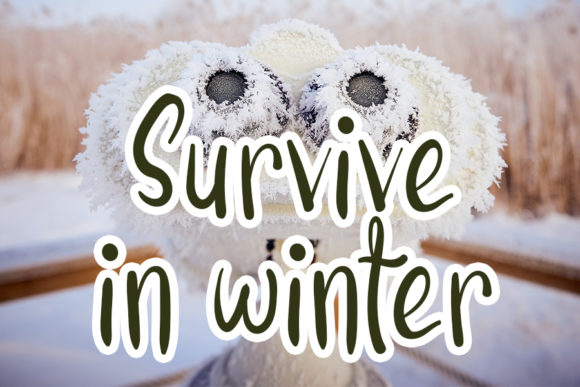 Snow White Font Poster 5