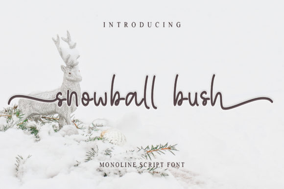 Snowball Bush Font Poster 1