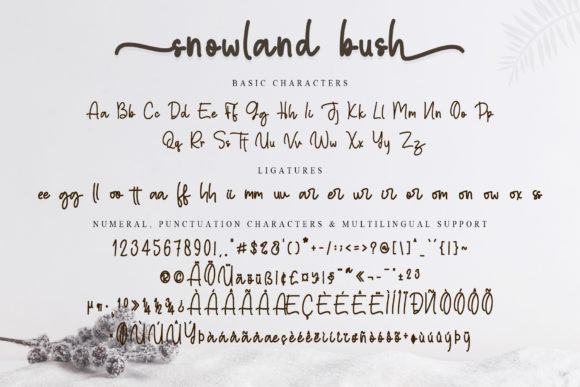 Snowball Bush Font Poster 8