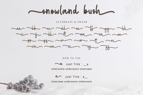 Snowball Bush Font Poster 9