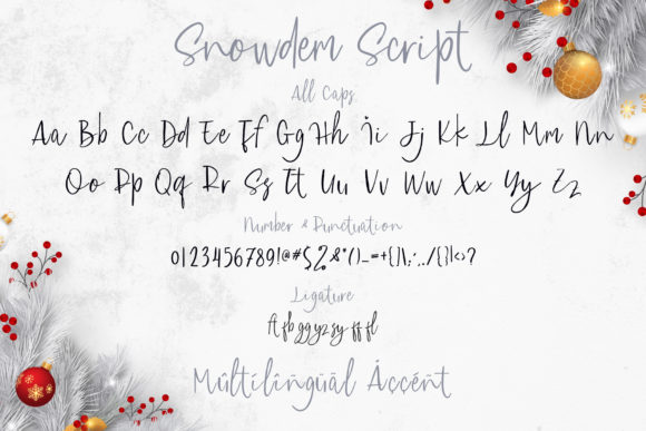 Snowdem Christmas Font Poster 11