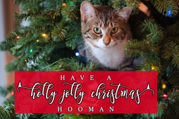 Snowy Holiday Font Poster 7