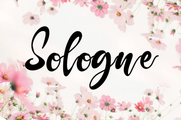 Sologne Font Poster 1