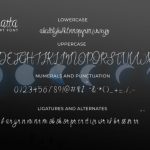 Sonatta Font Poster 8