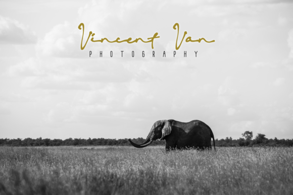 Sonira Font Poster 3