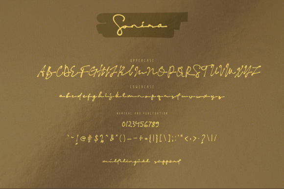 Sonira Font Poster 9