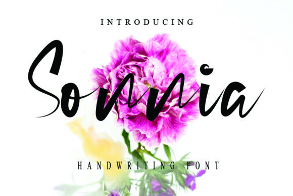 Sonnia Font