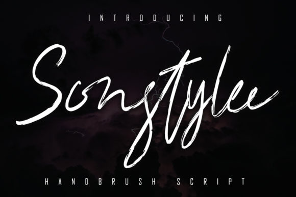 Sonstylee Font Poster 1