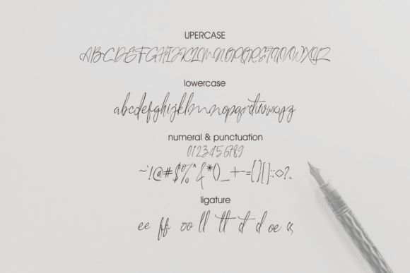 Soul Habit Font Poster 8