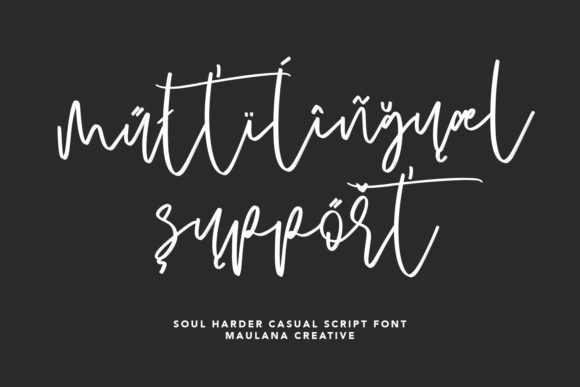 Soul Harder Font Poster 8