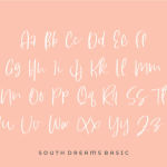 South Dreamers Font Poster 13