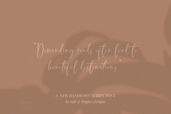 Southern Font Poster 7