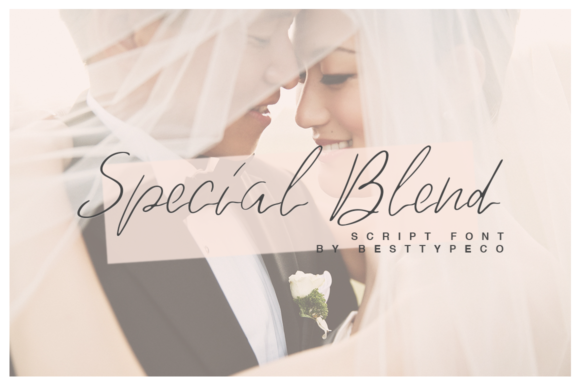 Special Blend Font