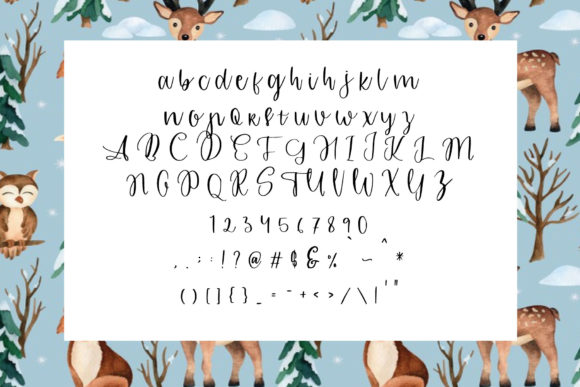 Special Christmas Font Poster 3