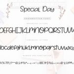 Special Day Font Poster 5