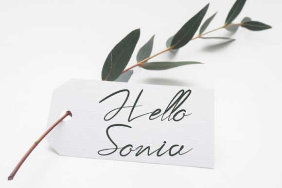 Special Romantica Font Poster 2