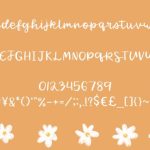 Spring Daisy Font Poster 6