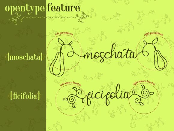 Squash Spread Font Poster 4