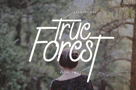 Stantic Font Poster 5