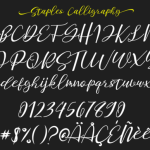 Staples Calligraphy Font Poster 5