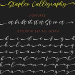 Staples Calligraphy Font Poster 6