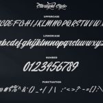 Starlight Font Poster 11