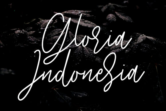 Starlose Font Poster 7