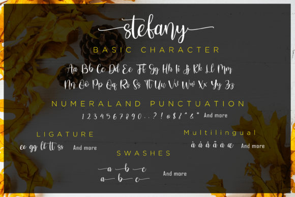 Stefany Signature Font Poster 5