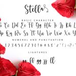 Stella Font Poster 6