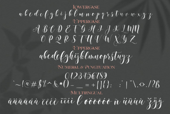 Still Shine Font Poster 7