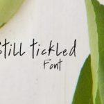 Still Tickled Font Poster 1