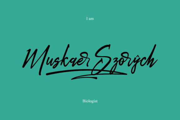 Stoneberg Font Poster 11
