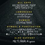 Stoony Font Poster 6