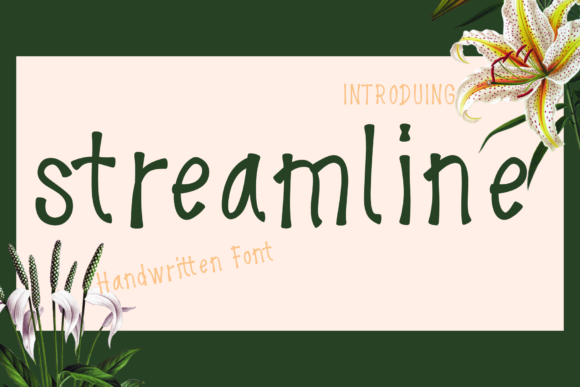 Streamline Font