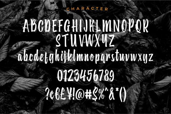 Subaraya Font Poster 5