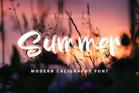 Summer Font Poster 1