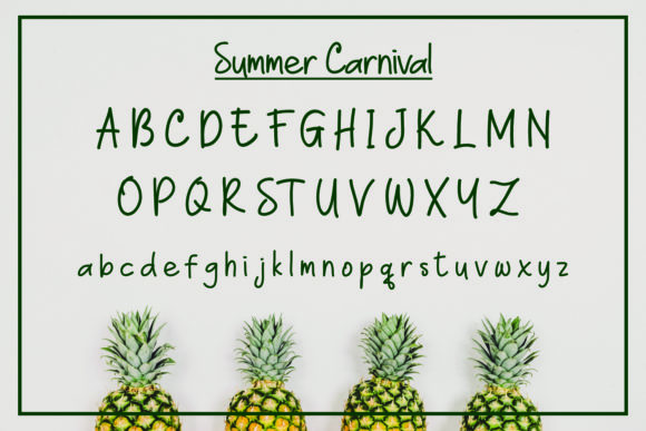 Summer Carnival Font Poster 8