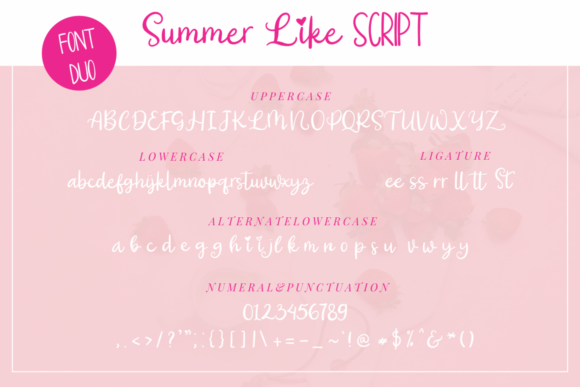 Summer Like Font Poster 12