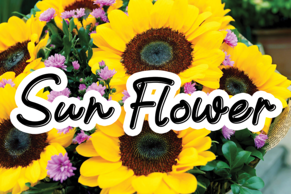 Sun Flower Font