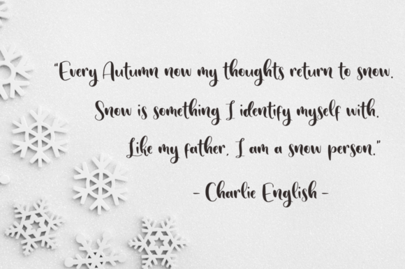 Sunday Snow Font Poster 5