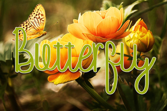 Sunflower Font Poster 2