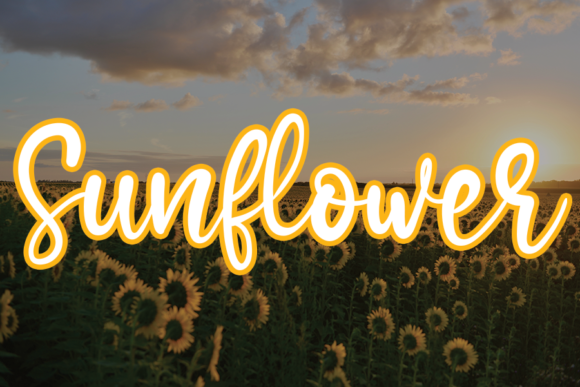 Sunflower Font Poster 1