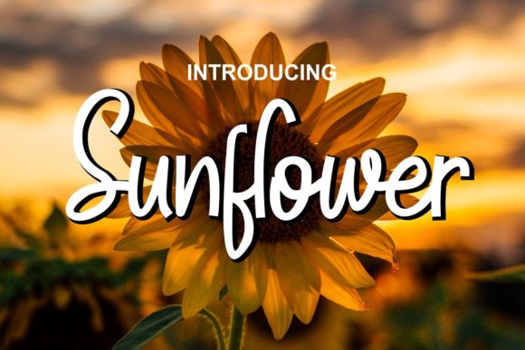 Sunflower Font