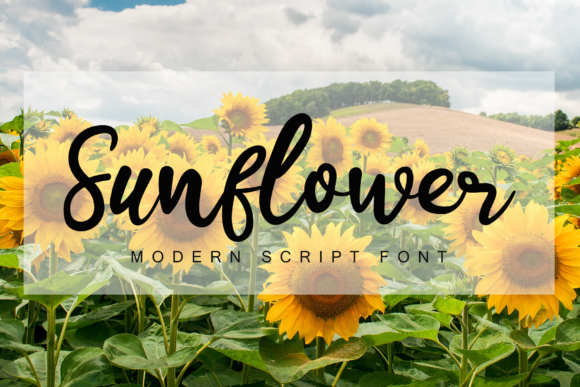 Sunflower Font Poster 1