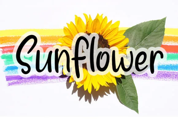 Sunflower Font Sunflower Font Poster 1