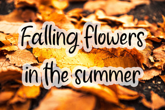 Sunflower Font Poster 6