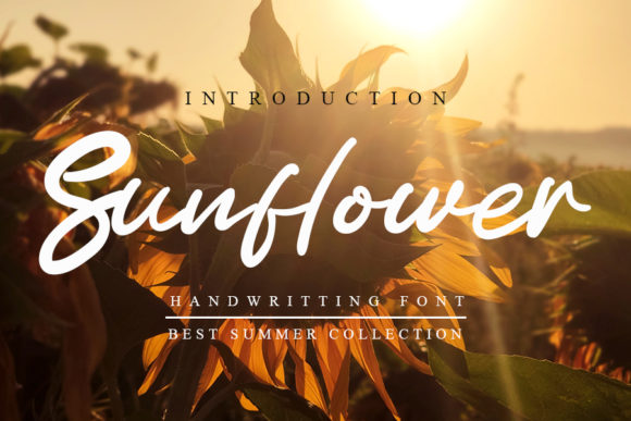 Sunflower Font